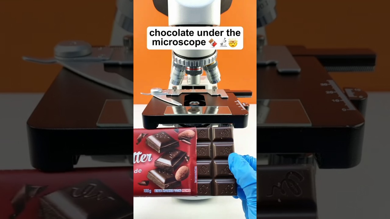 Chocolate under the microscope #chocolate #microscope #knowledge #education