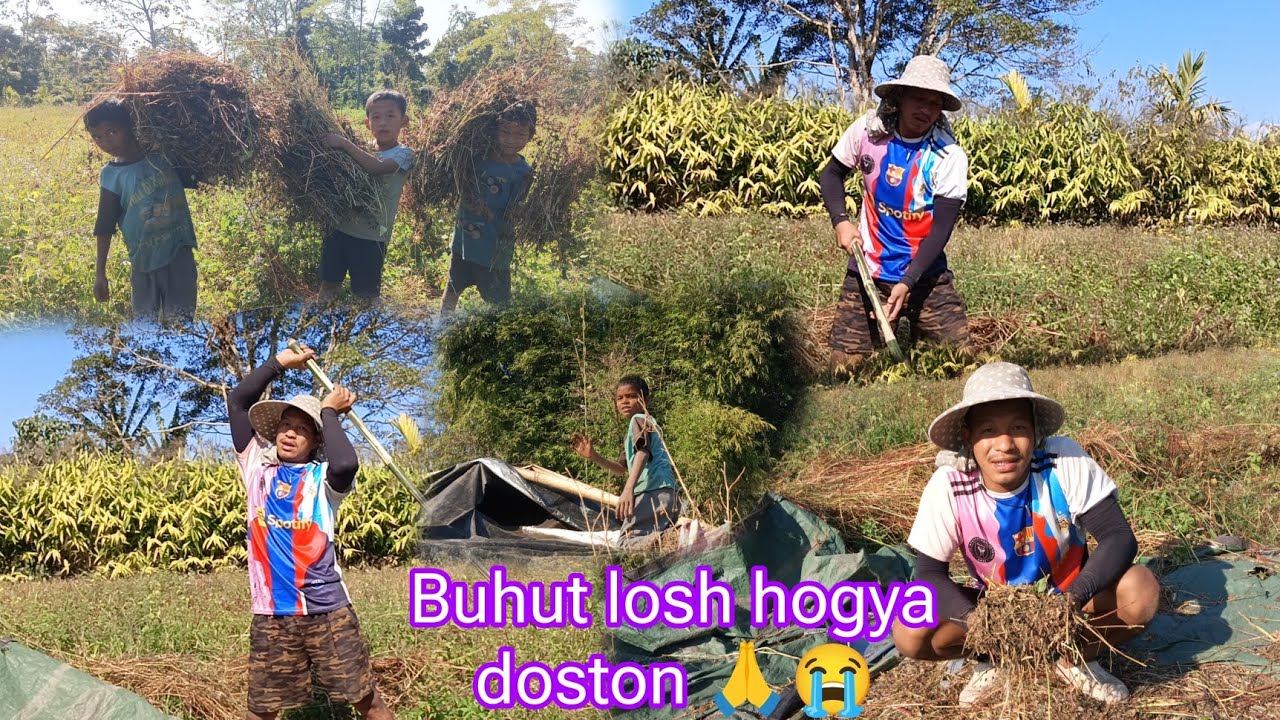Buhut losh hogya doston 🙏😭  ||  kisan ka zindagi village Life vlogs 🙏🤗
