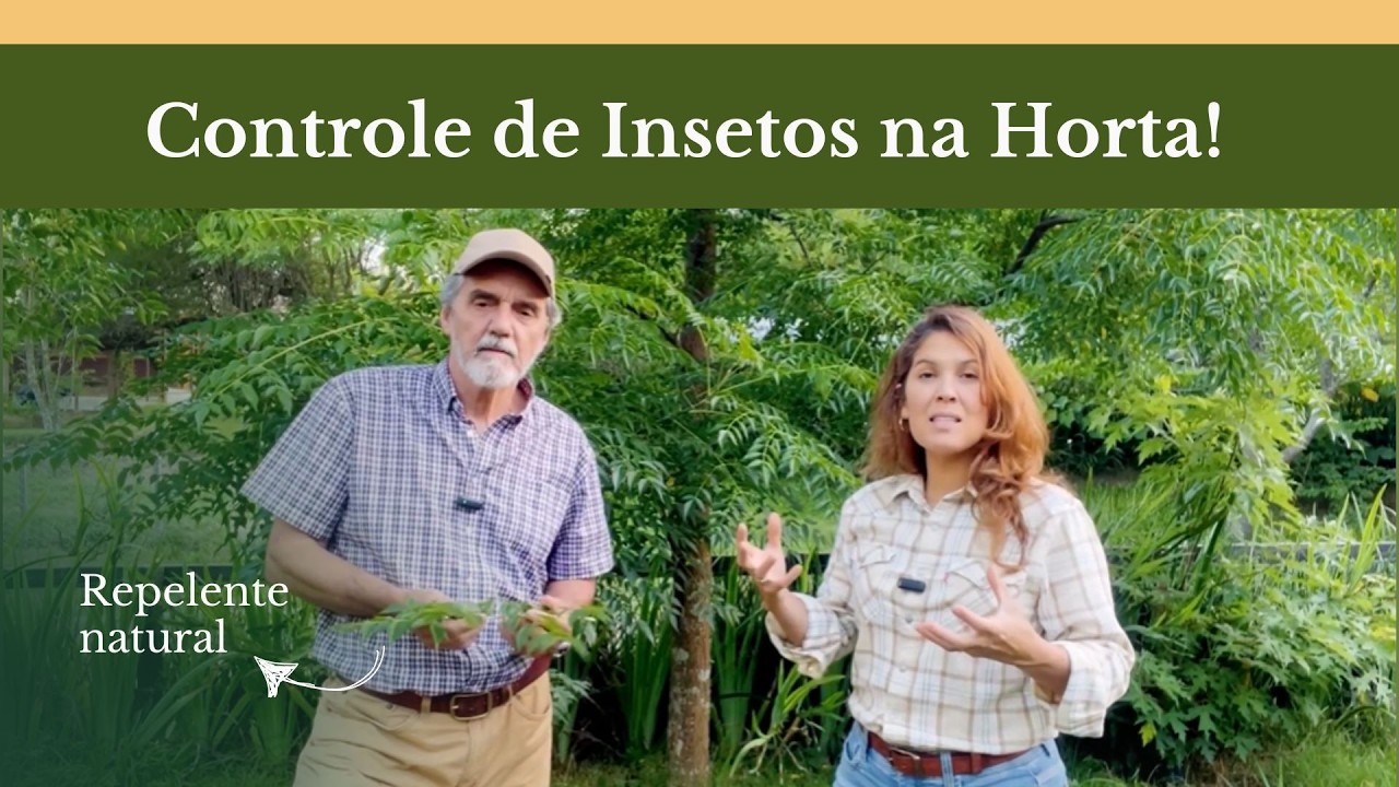 Como Controlar os Insetos na Horta