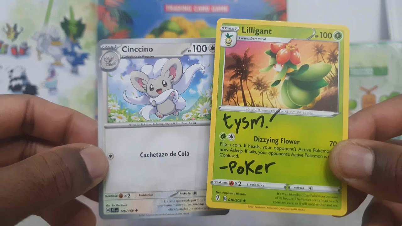 My collecting highlights from 2025