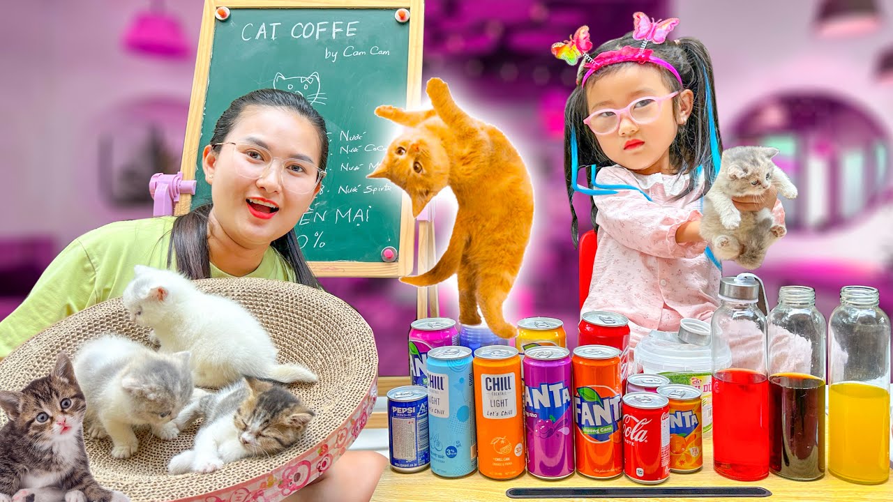 Changcady và quán cafe mèo mới mở của em Cam Cam, trải nghiệm ôm mèo đầy thích thú