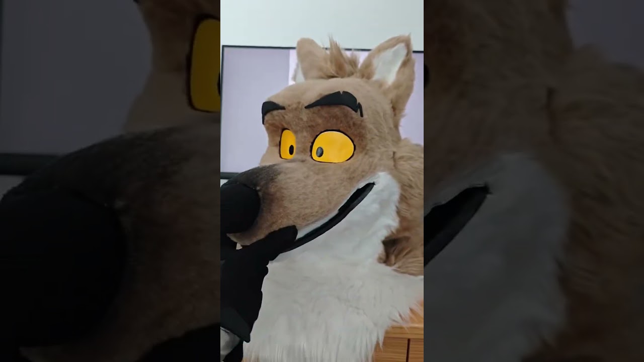 I accept custom orders for fursuit.Check my furheads on my web. The web link in my bio.