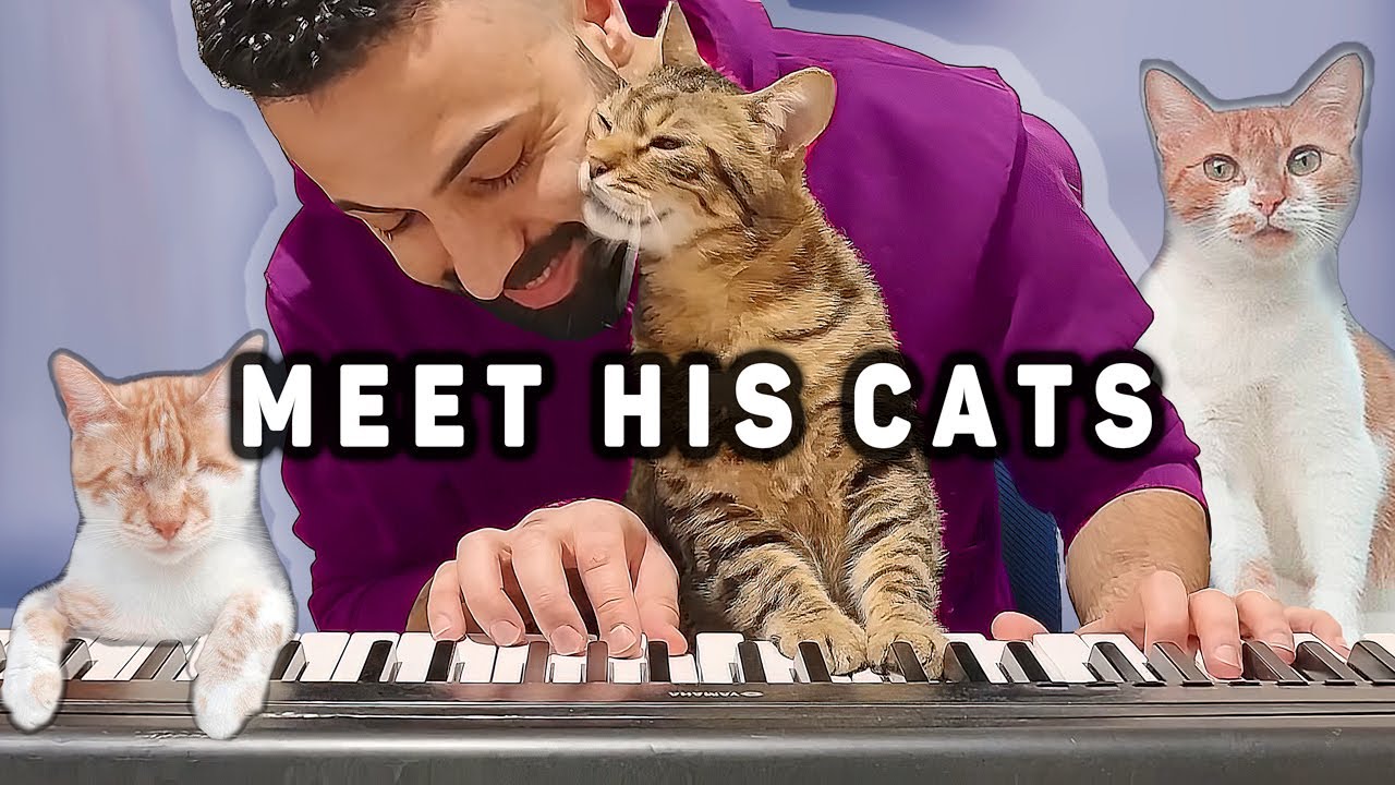 Meet This Famous Pianist's 19 Rescue Cats 😻🎹  Sarper Duman - House Tour 🏠