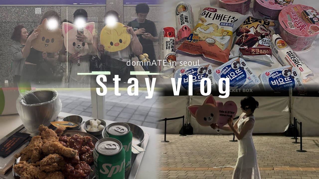 【STAY VLOG】3泊4日のソウルコン渡韓✈️🇰🇷｜過去1過酷なグッズ列🙂‍↕️｜ショッピング🛒、グルメ🍴｜straykids dominATE 0824ライブ映像📷｜