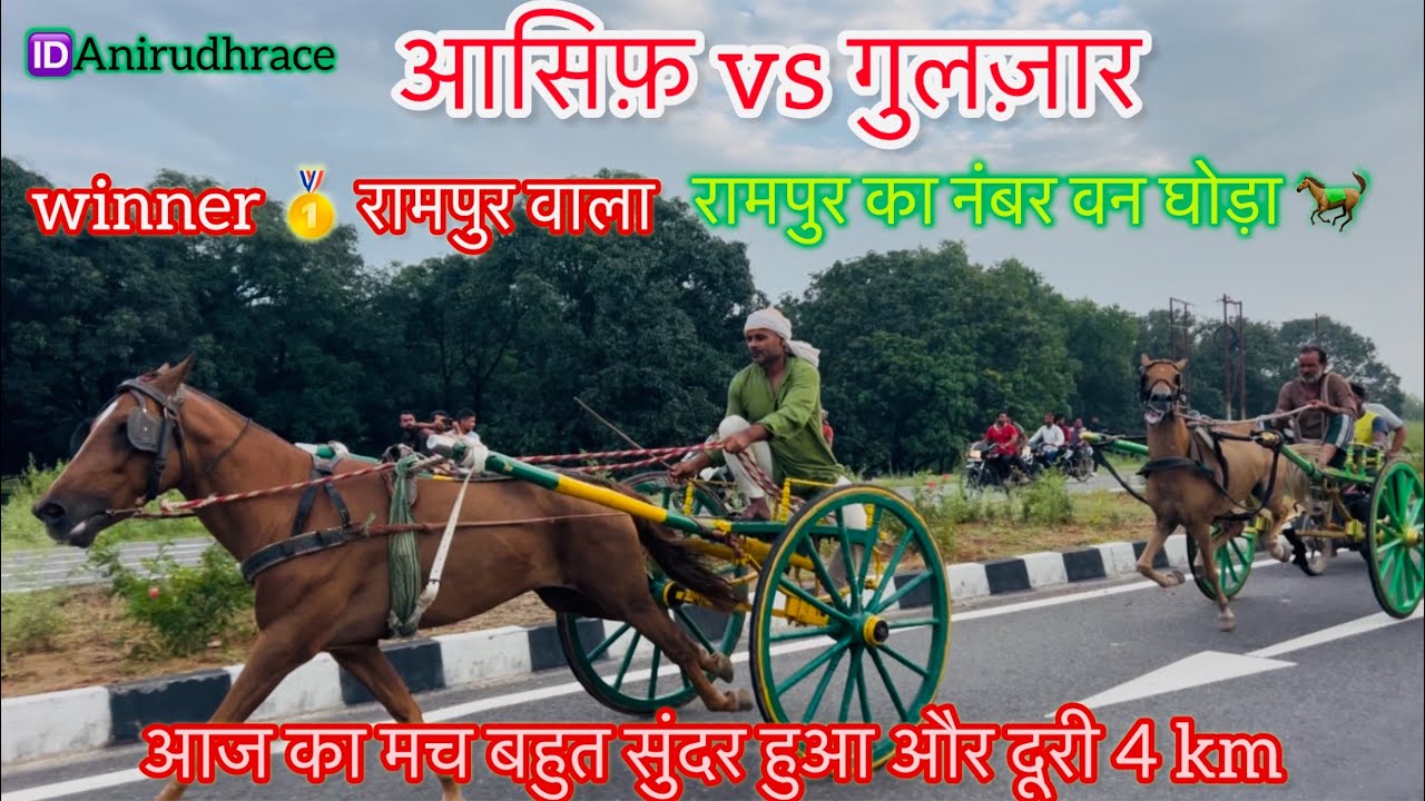 (आसिफ़ vs गुलज़ार) आज का बहुत सुंदर मच दूरी 4 km winner 🥇 आसिफ़ उफ़ रामपुर का घोड़ा 