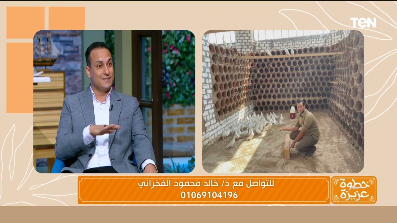 لو بتفكر تستثمر في تربية الحمام.. إعرف دراسة الجدوى من ملك أبراج الحمام د. خالد الفخراني