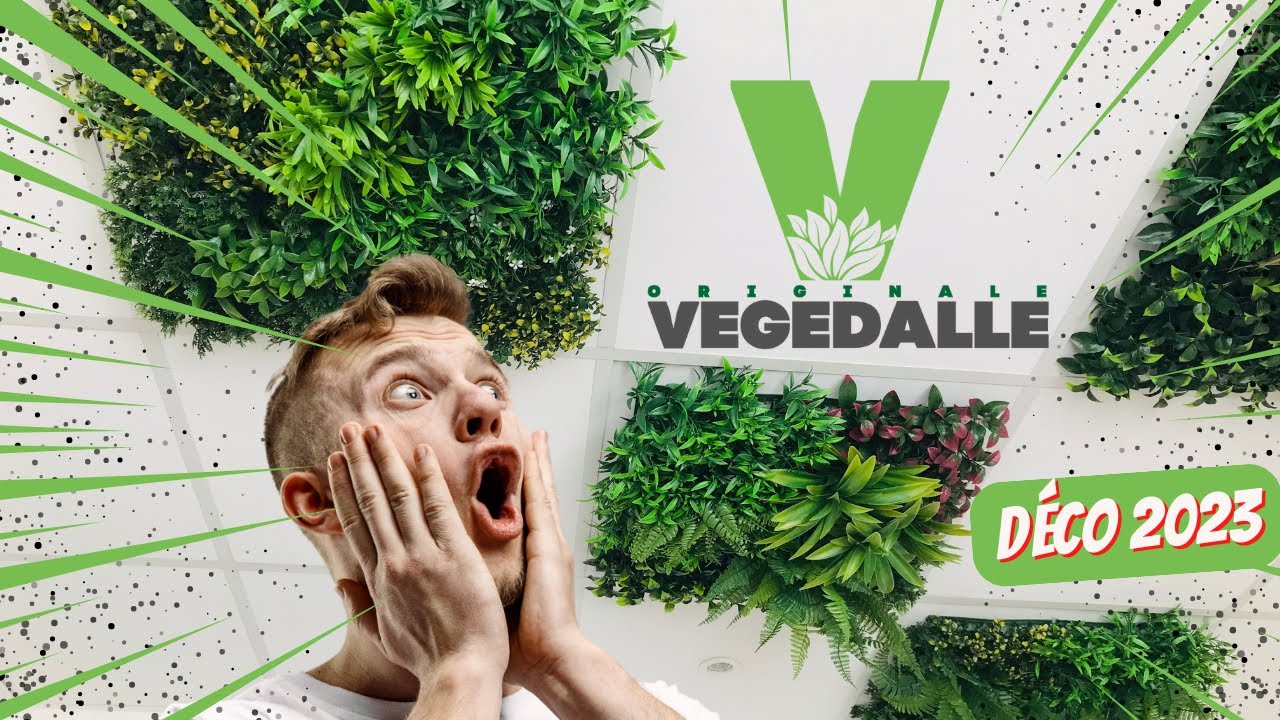 VEGEDALLE : L'ORIGINALE plafond végétal pour faux-plafond ANTI FEU DÉCO 2024