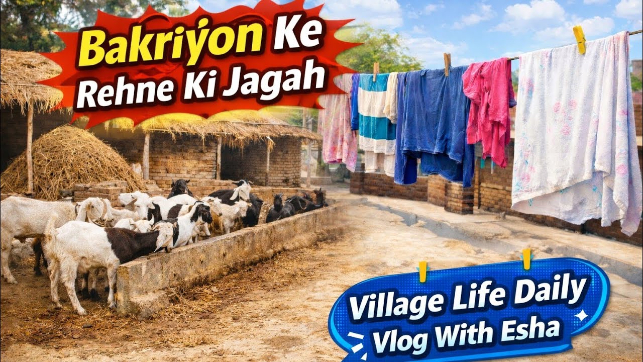 Hmari Bakriyon Ka Ghar 🐐 | Village Life Pakistan | Daily Vlog With Esha”