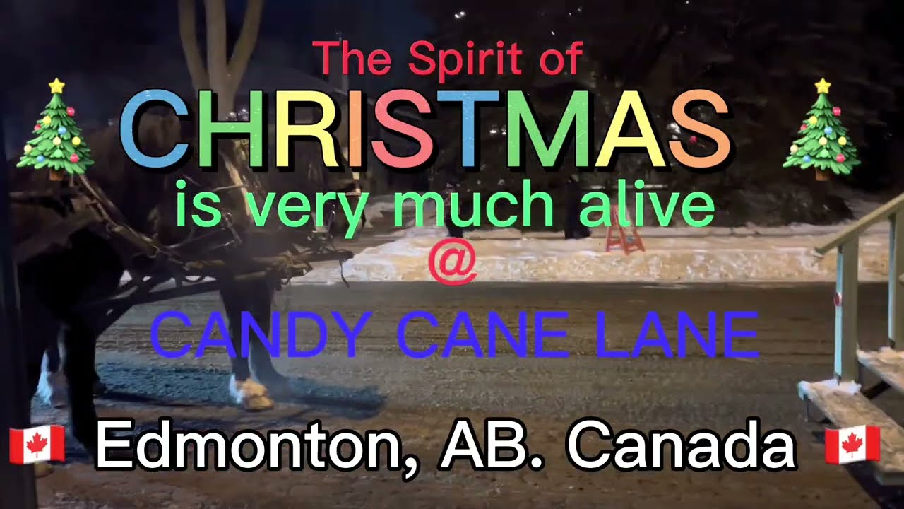 Candy Cane Lane ✨Edmonton 🇨🇦 #candycanelane  #jjfshares