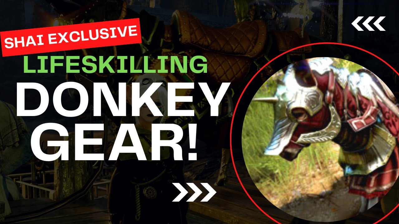 Krogdalo's Donkey Gear Guide For Black Desert Online