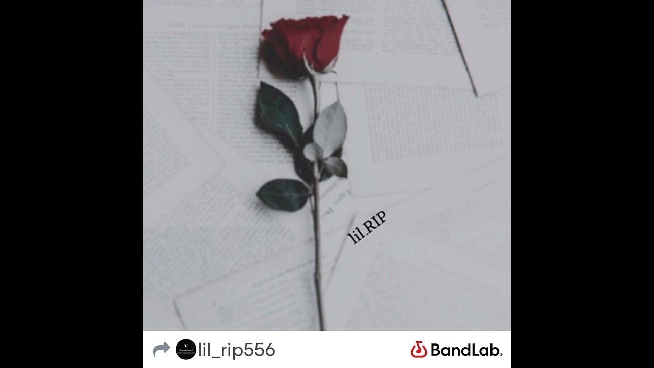 Lil rip - solo