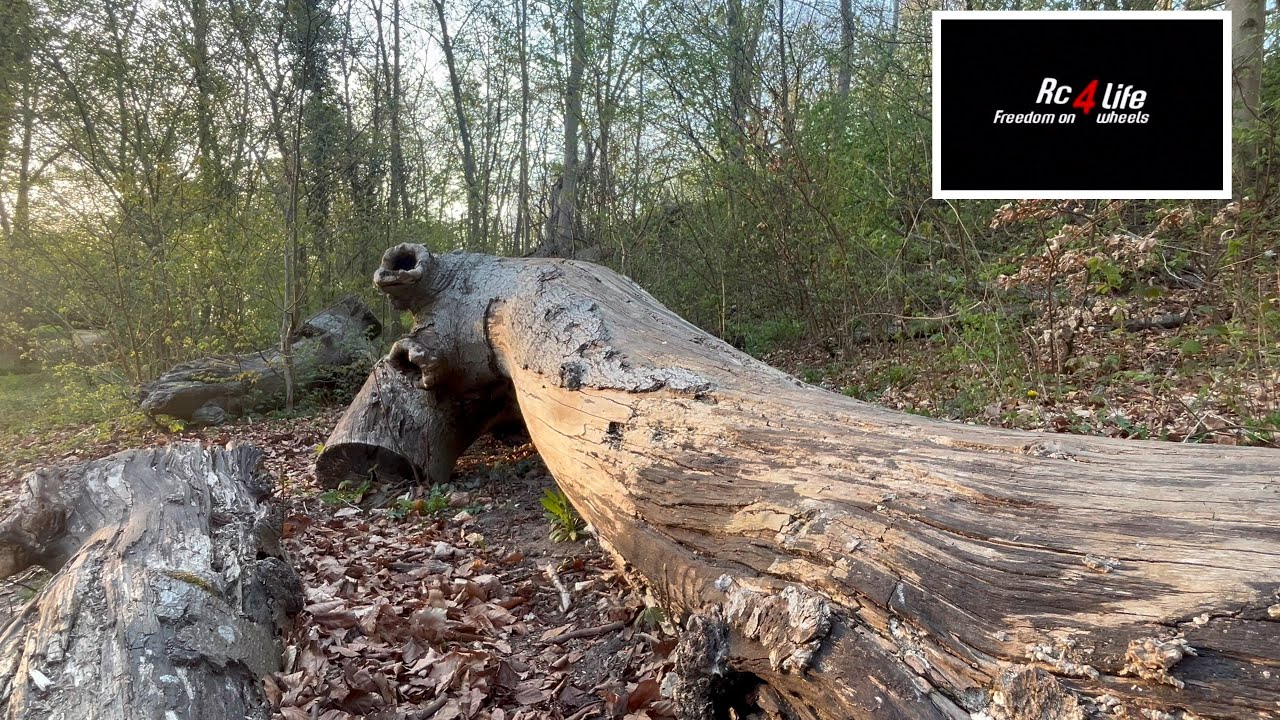 Rc4Life. Lake And Forest