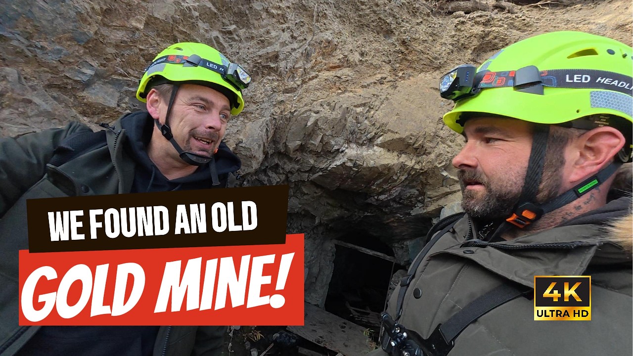 We found an old gold mine ! 