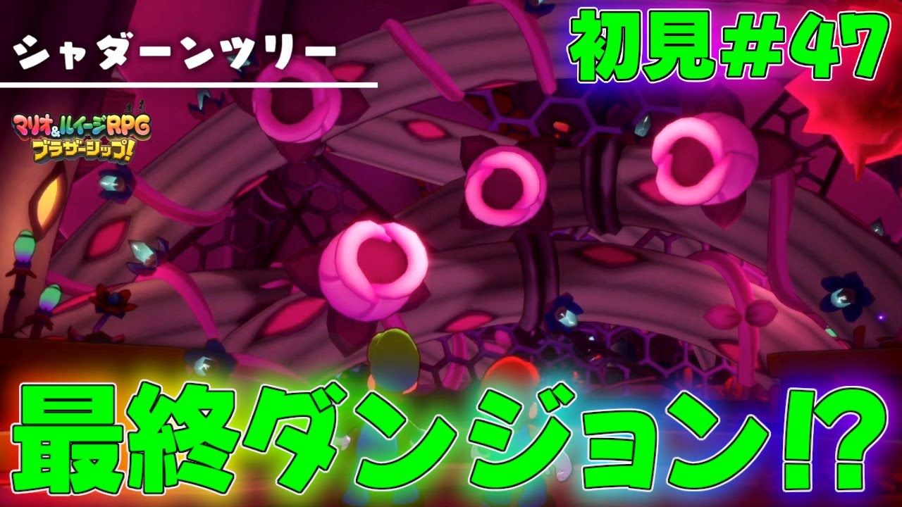 【マリルイ】ここからが本番と予想される最終ダンジョンに到着！？ストーリー編実況part47【マリオ＆ルイージRPG】全クリア攻略リメイク新作ブラザーアタッククッパイベントDXブラザーシップ