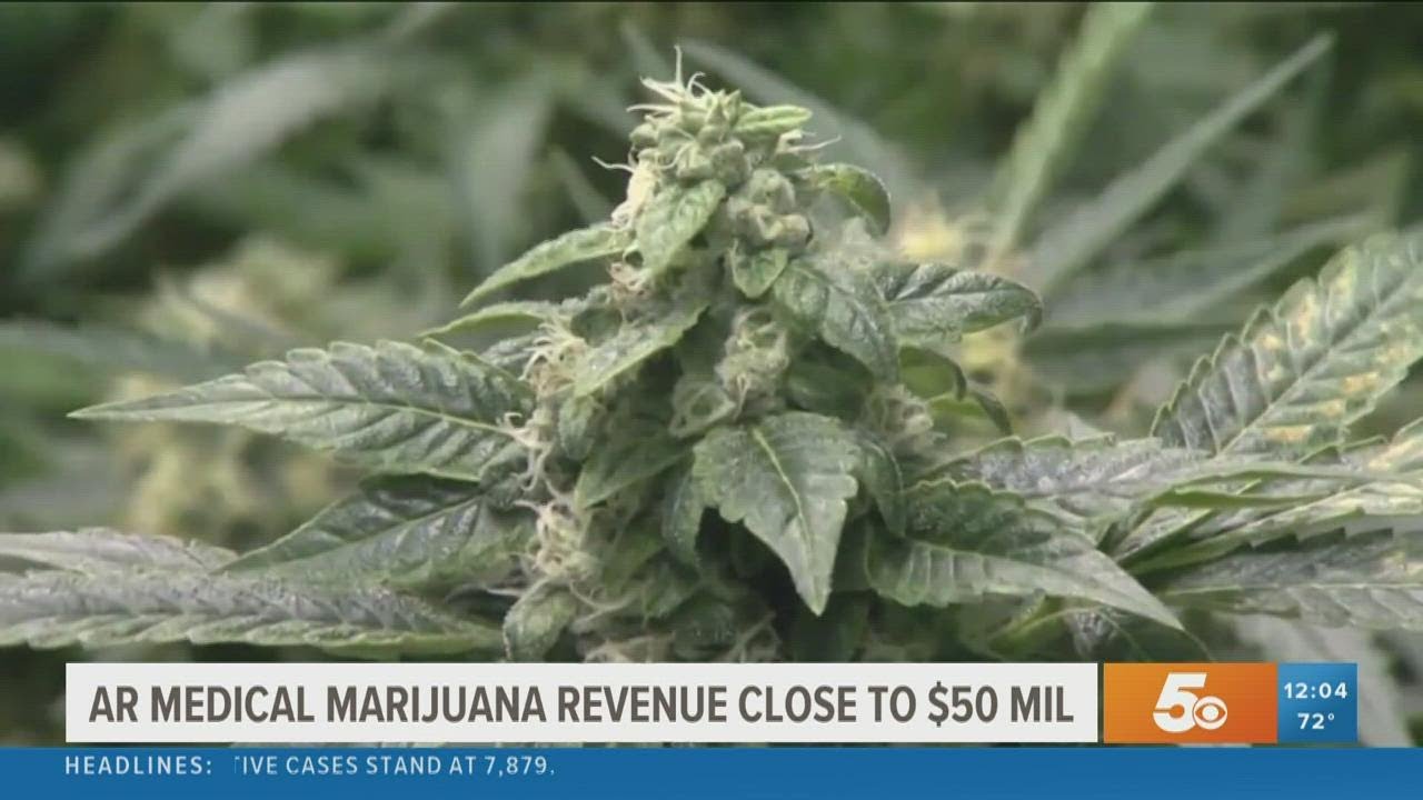 Medical marijuana brings almost $50M in tax revenue for Arkansas in 1st two years