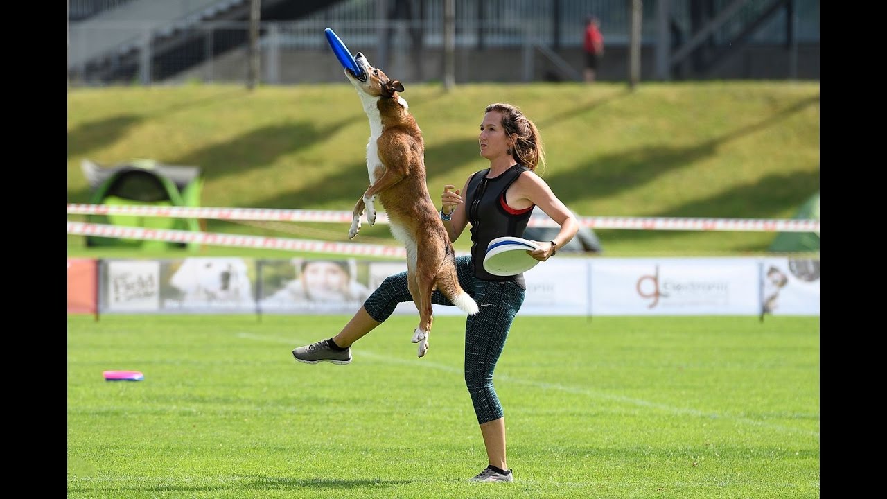 Swiss Discdog Challenge Champions 2016 Eva Zwicker & Enya