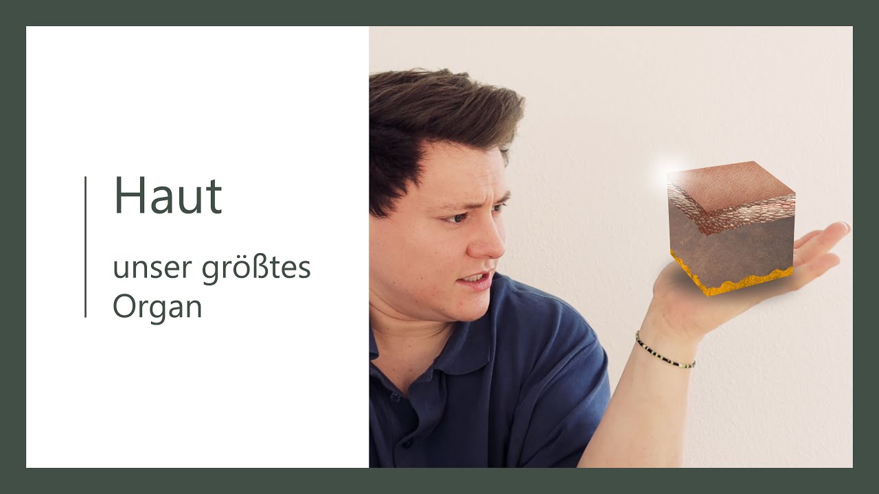 Unsere Haut - alles was du wissen musst - Basics