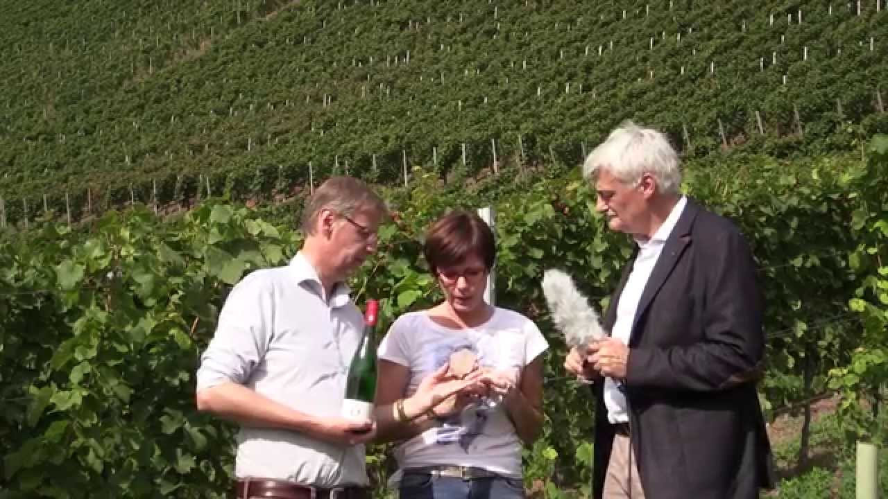 VIF - Wein des Monats Oktober 2014: MAX Riesling vom Weingut von Othegraven, mit Günther Jauch