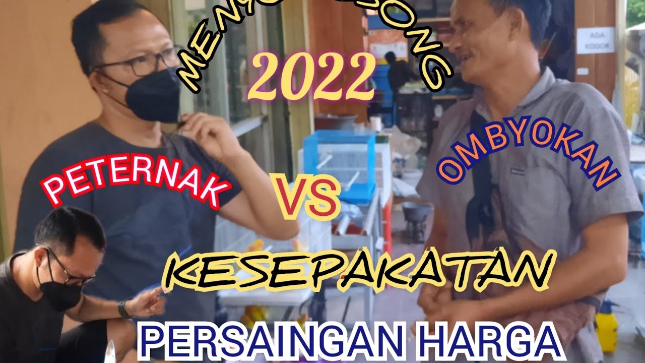 Harga lovebird lengkap menjelang tahun baru 2022
