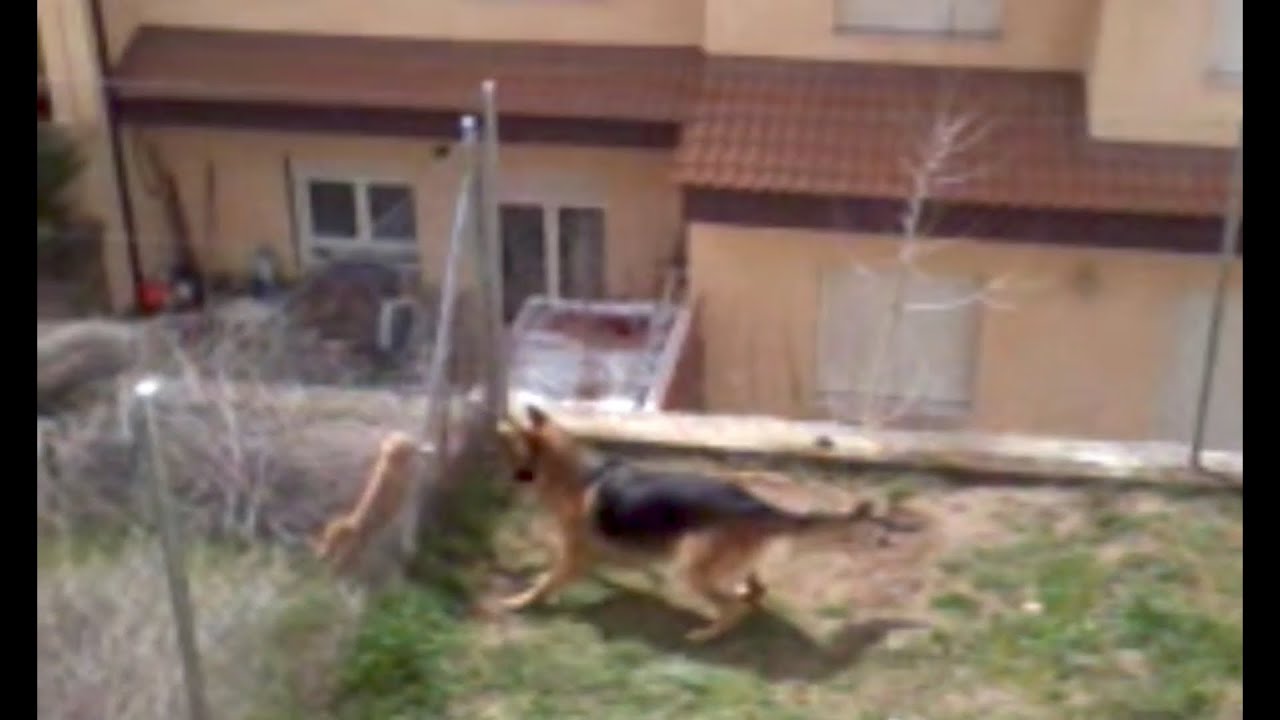 video-2013-03-20-14-28-51.mp4