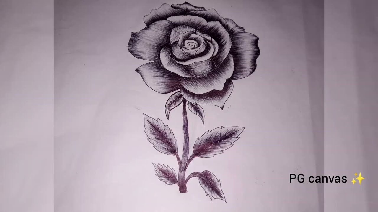 How to draw rose 🌹 (step by step)|| tutorial||