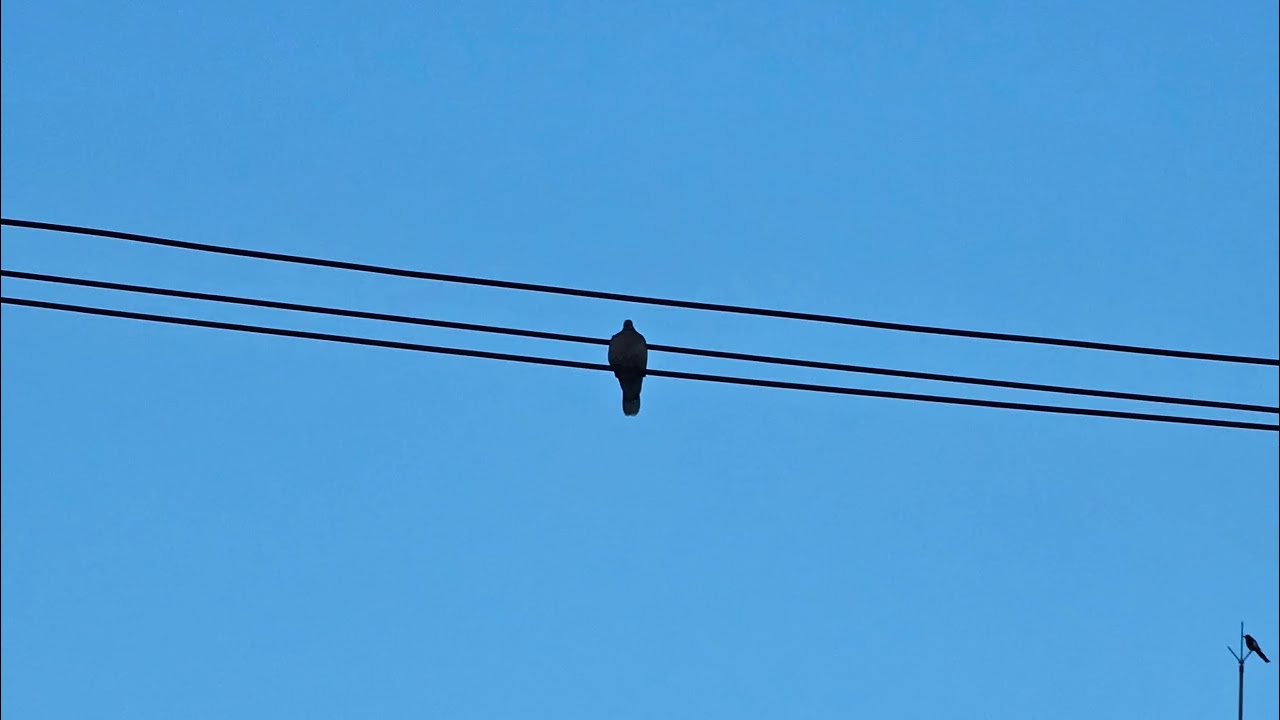 Crossing the Sky