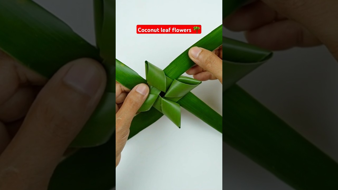 Craft Ideas With Coconut Leaves #craft #handmade #coconut #leaf #reels