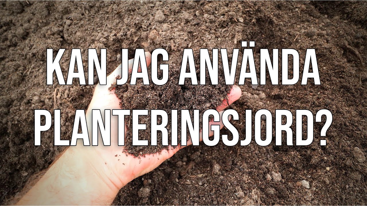 S&aring; gr&auml;s i planteringsjord?