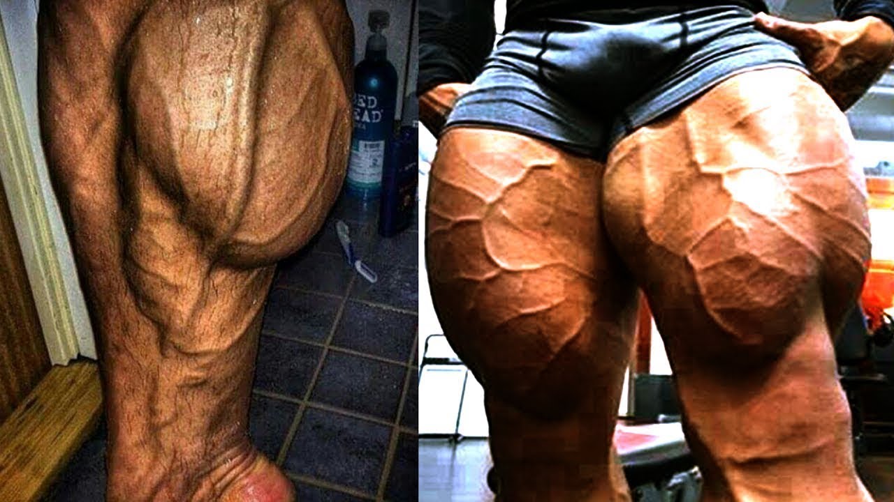 7x MR. Olympia phil heath entrenamiento de pierna completa - guía de entrenamiento
