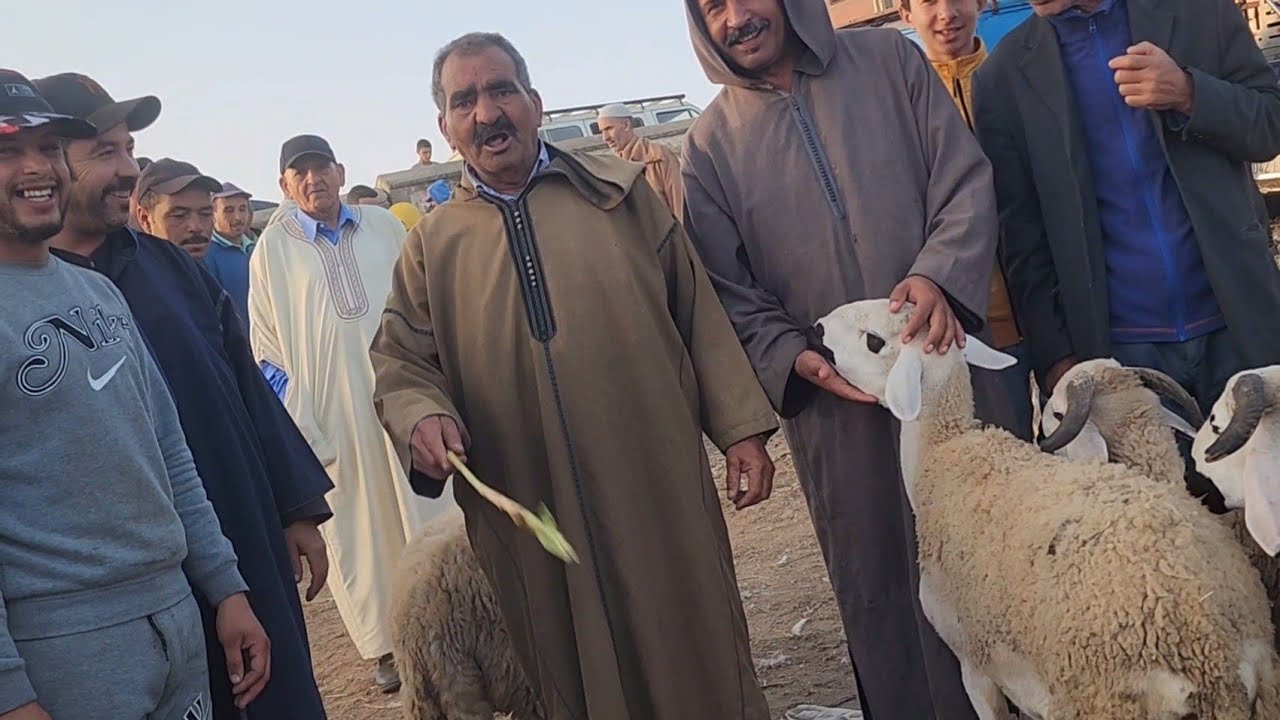 🐑🔥🇲🇦خيرات موجودة في سوق الأسبوعي تلات لولاد فيني نقدم لكم أتمنة نعجة 🐑تاريخ تصوير 17/9/2024