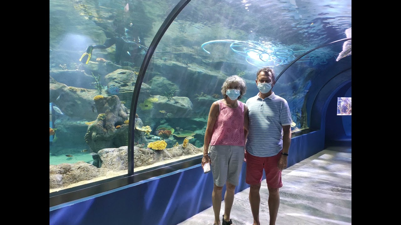 Mauritius 2021 Port Louis Oceanarium Odysseo