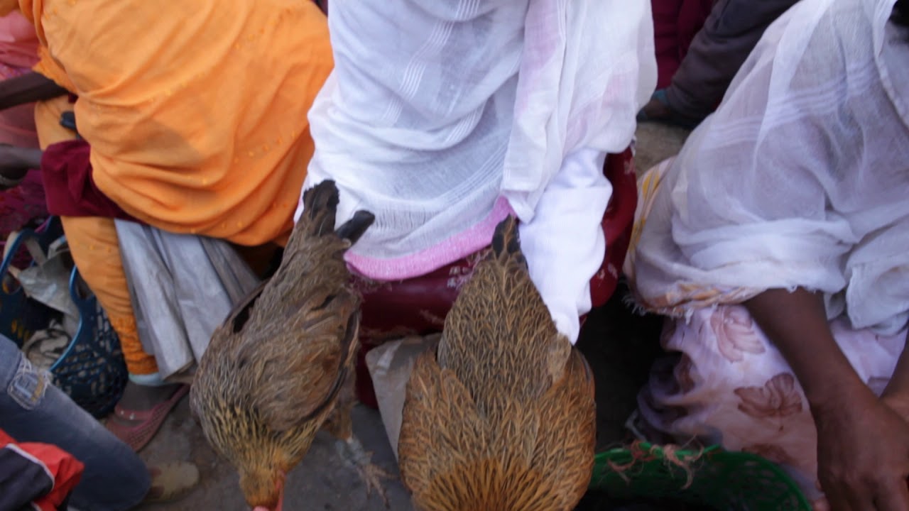 Market day, Adi keyh, Eritrea