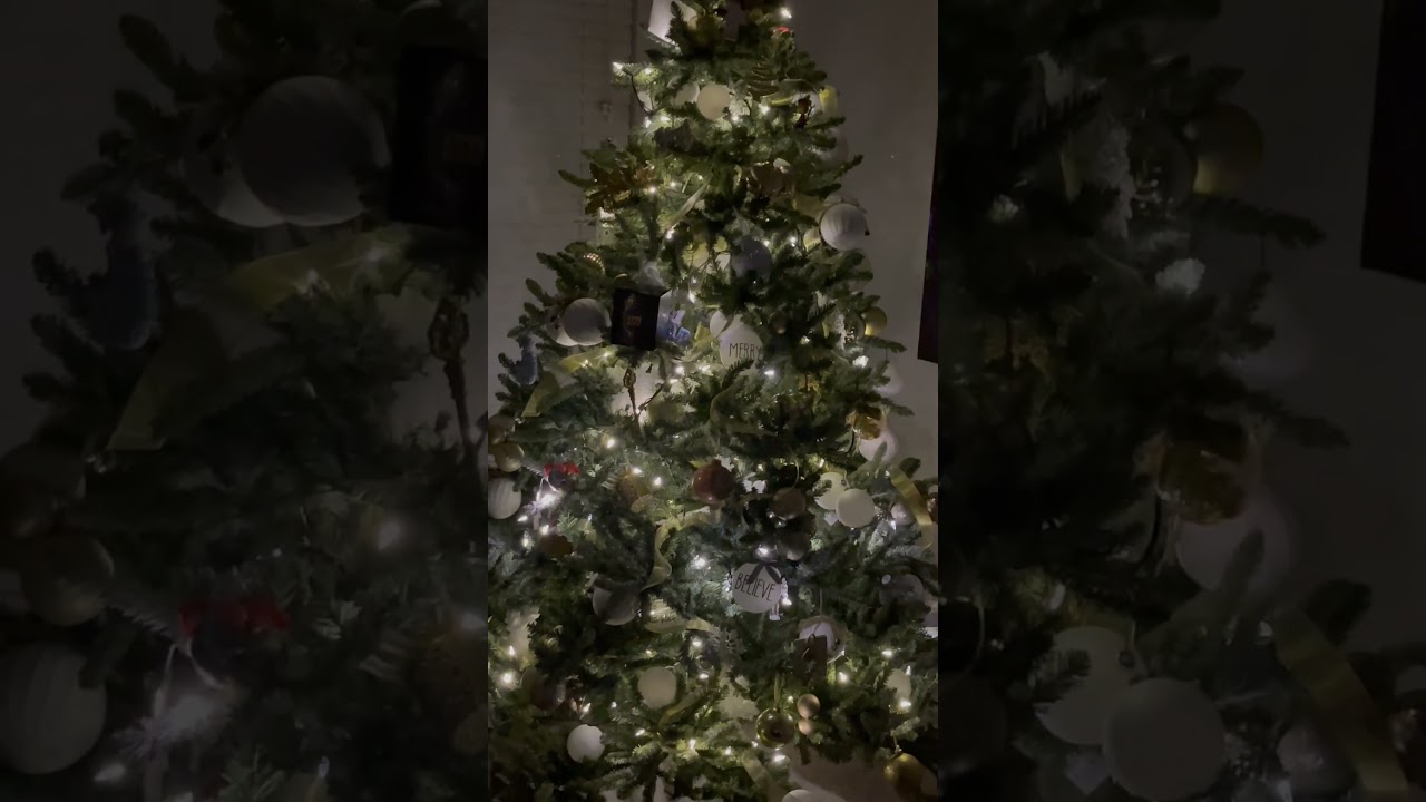 I am definitely in the Christmas spirit