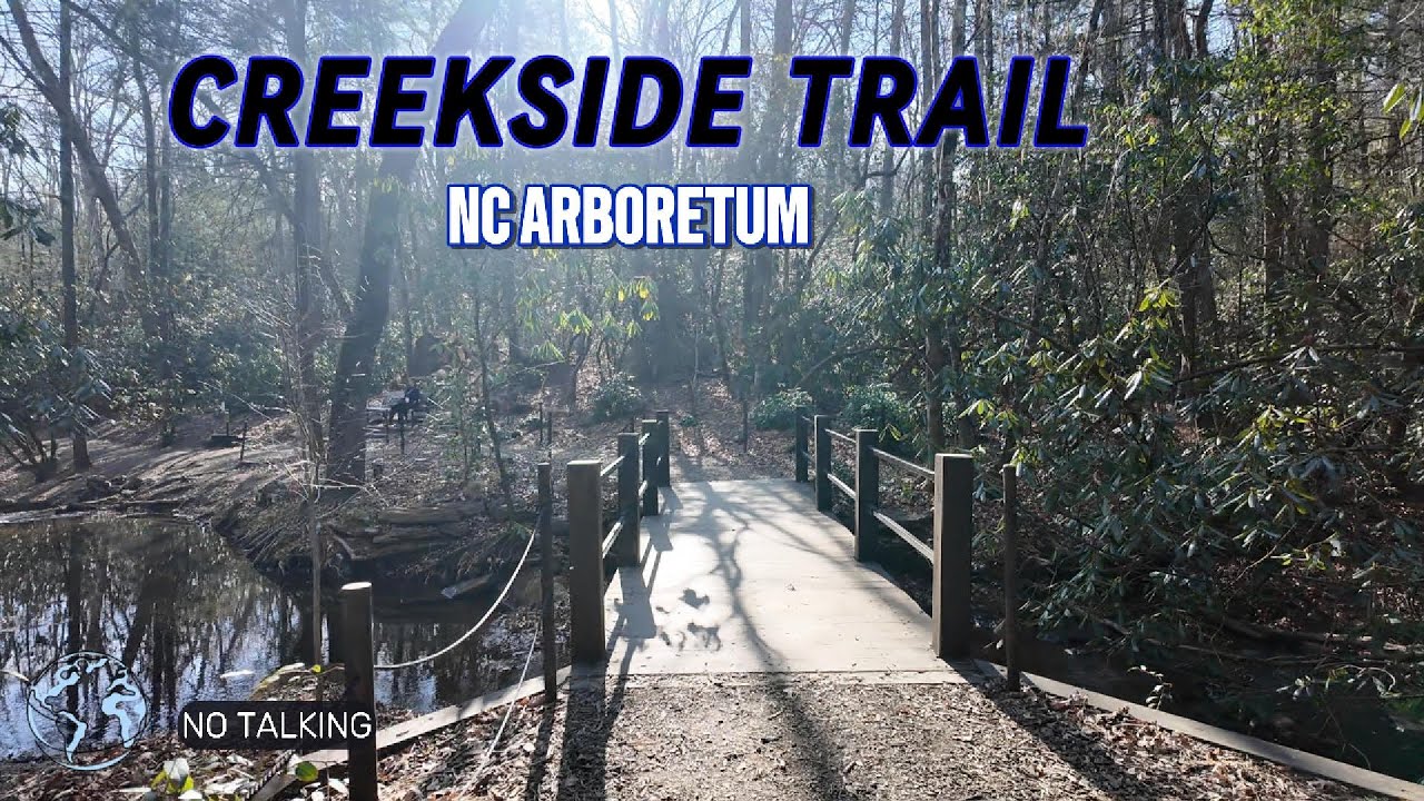 Creekside Trail (NC Arboretum) 🌿 3-Min Nature Walk | No Talking, Natural Footsteps