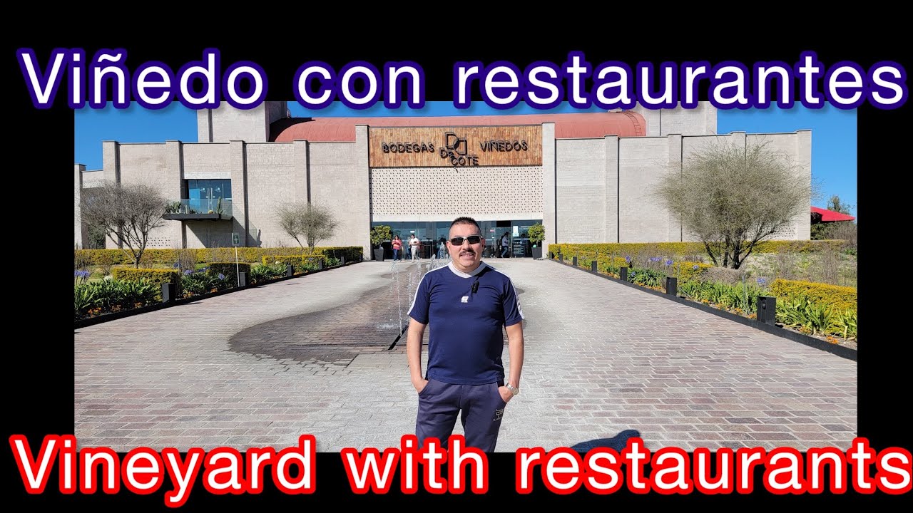 Viñedo De Cote cerca de Tequisquiapan, Querétaro (De Cote vineyard near Tequisquiapan, Queretaro)