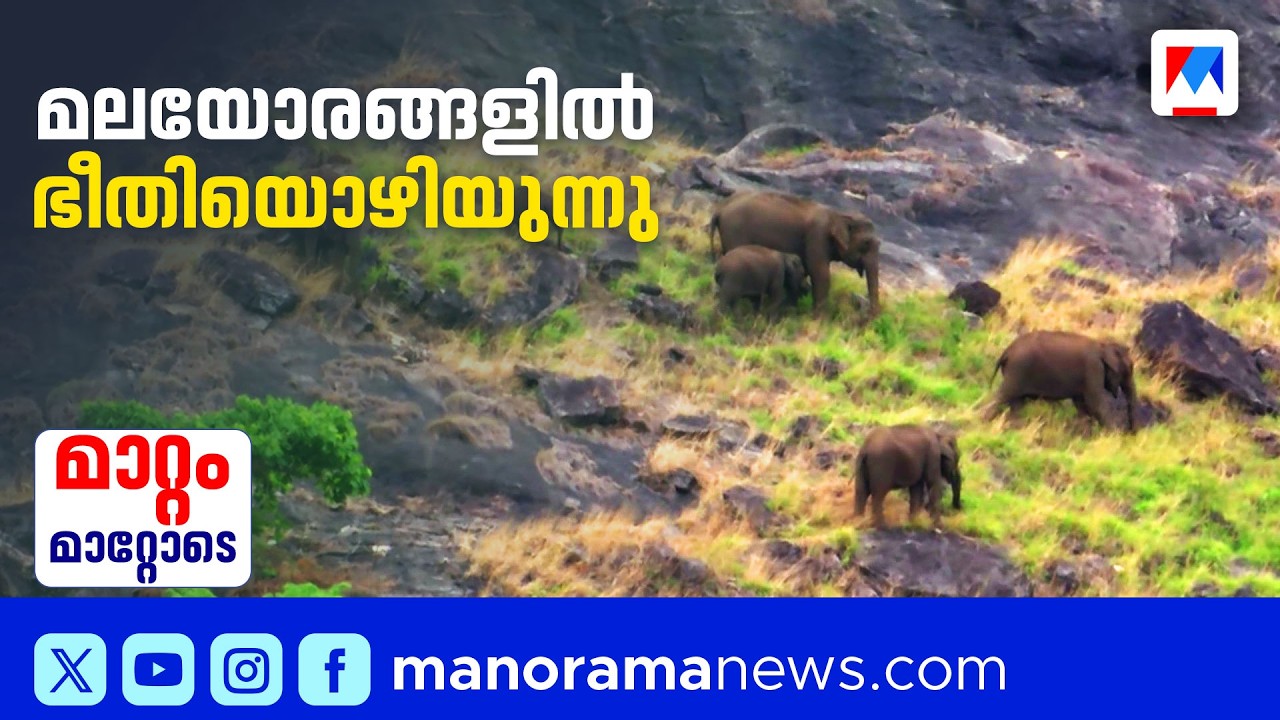 മലയോര മേഖലകളിലെ മനുഷ്യ– വന്യജീവി സംഘര്‍ഷങ്ങളില്‍ ഗണ്യമായ കുറവ് | KIIFB ​| Human animal conflict
