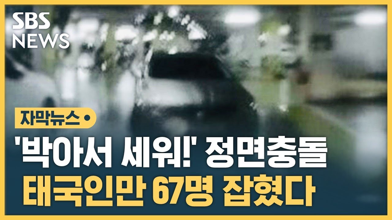 '박아서 세워!' 지하주차장 정면충돌…태국인만 67명 잡혔다 (자막뉴스) / SBS