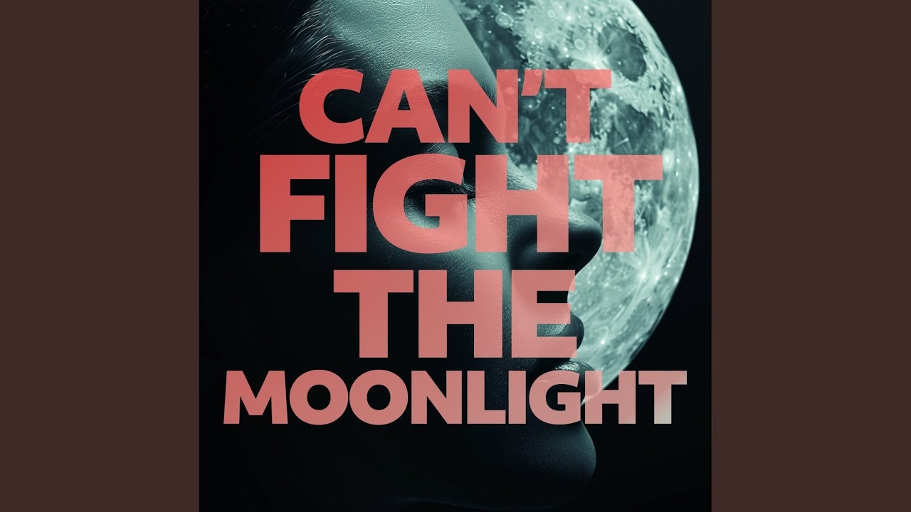 Can't Fight the Moonlight (Techno-Mix)