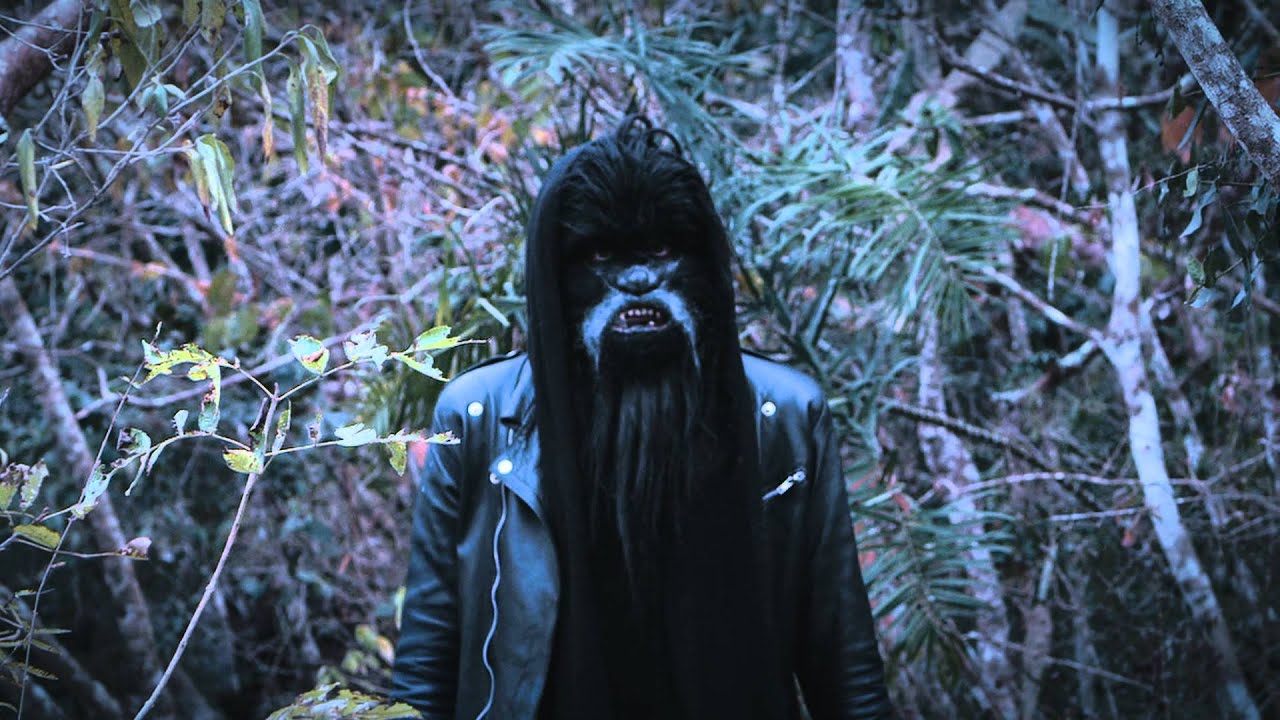 The Wookies - Daydream (Video Oficial)