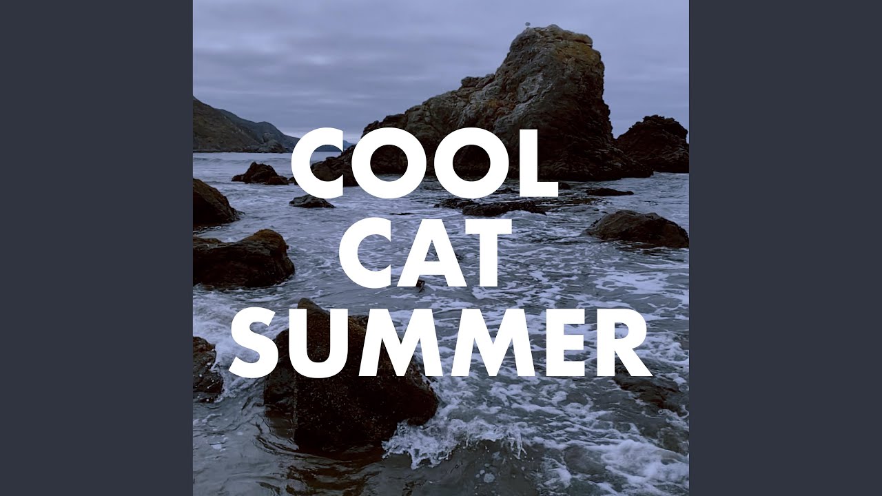 Cool Cat Summer