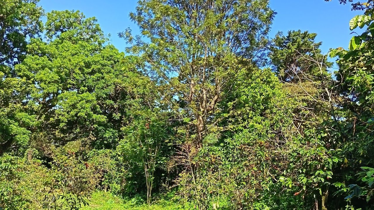 Un recorrido por la finca!! 