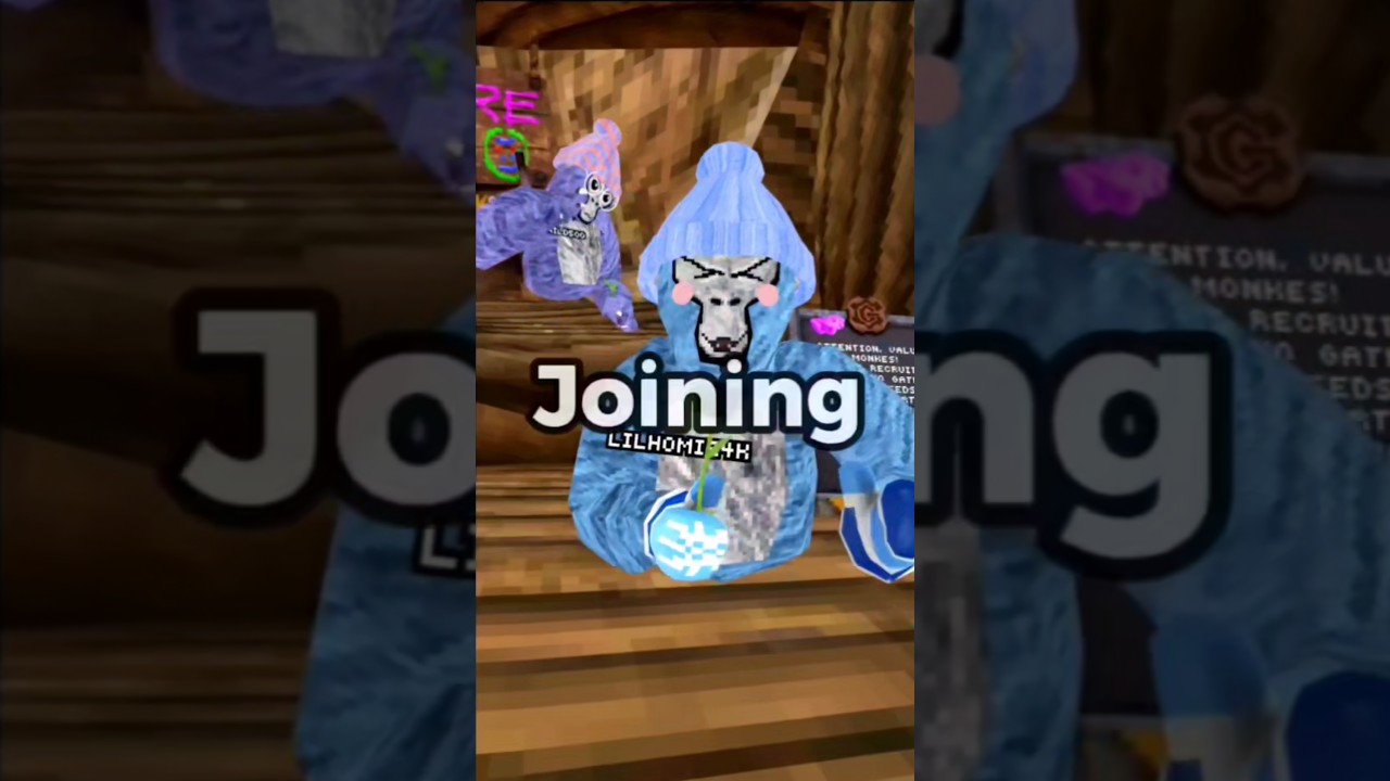 ВРЕМЯ ФАН-КОДА! #gorillatag #gorillatagquest #gorillatagquest #vr #gtag #supportamonke #furry
