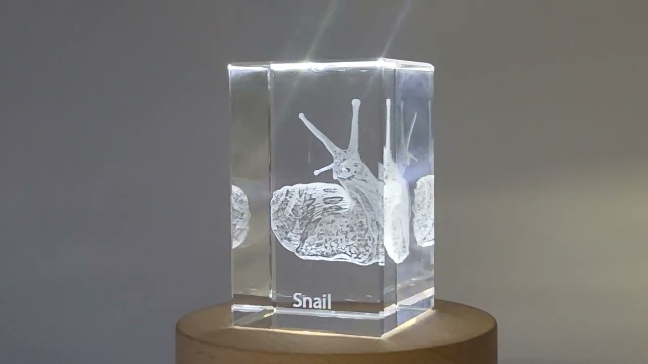 Snail Spirals | 3D Engraved Crystal Keepsake FSAN-116