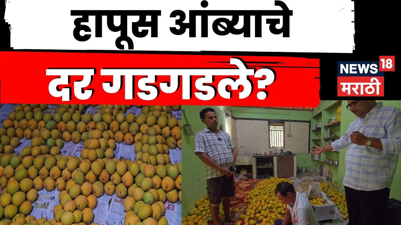 Sindhudurg News | आंब्याच्या दरात मोठी घसरण, शेतकऱ्यांना मोठा फटका | N18V | Marathi News