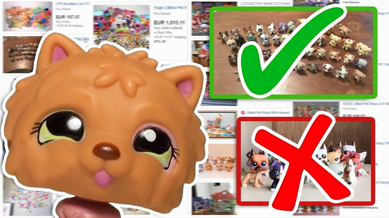How I find the best LPS packages online