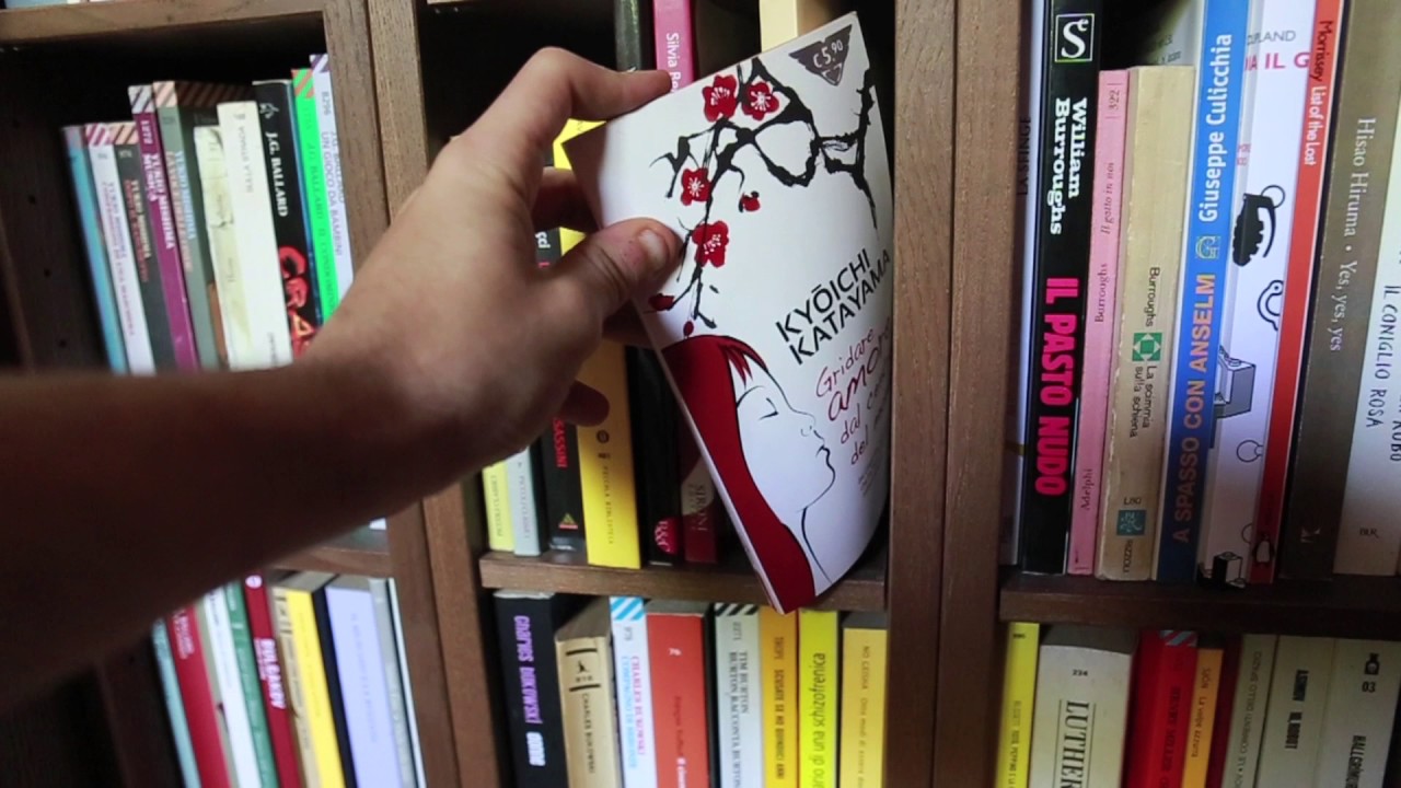 BOOKSHELF TOUR (Aggiornato): TUTTI I MIEI LIBRI.