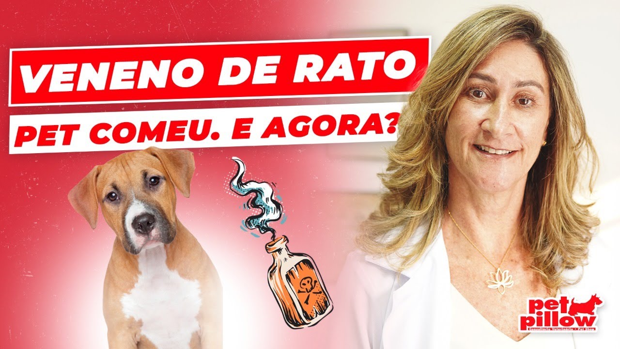 Meu cachorro comeu veneno de rato: cuidados emergenciais | Dra. Michele Sandrault