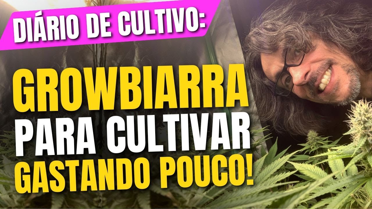 Como cultivar em casa GASTANDO POUCO + Growbox de Flora&ccedil;&atilde;o - EP. De Cultivo