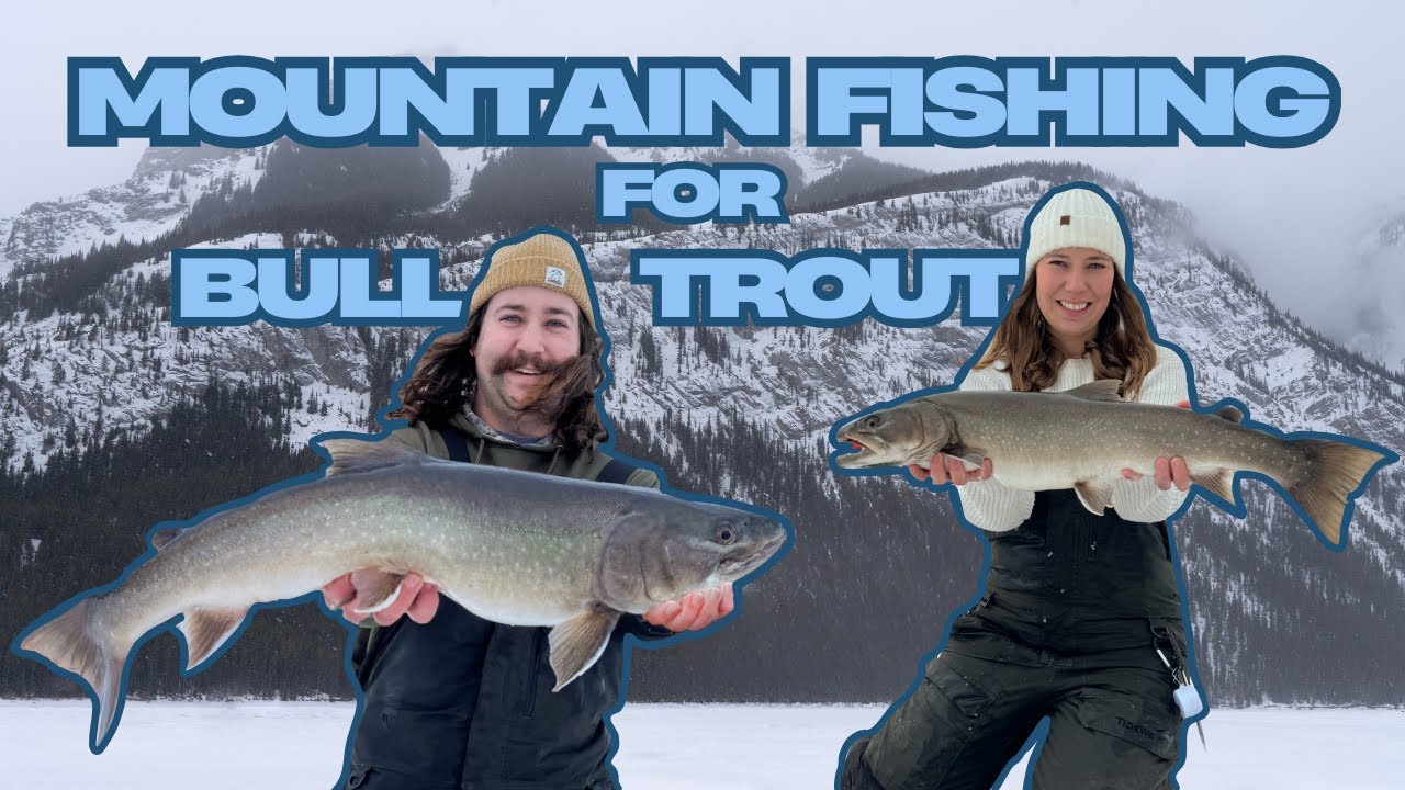 Mountain Fishing for Bull Trout | Alberta Ice Fishing