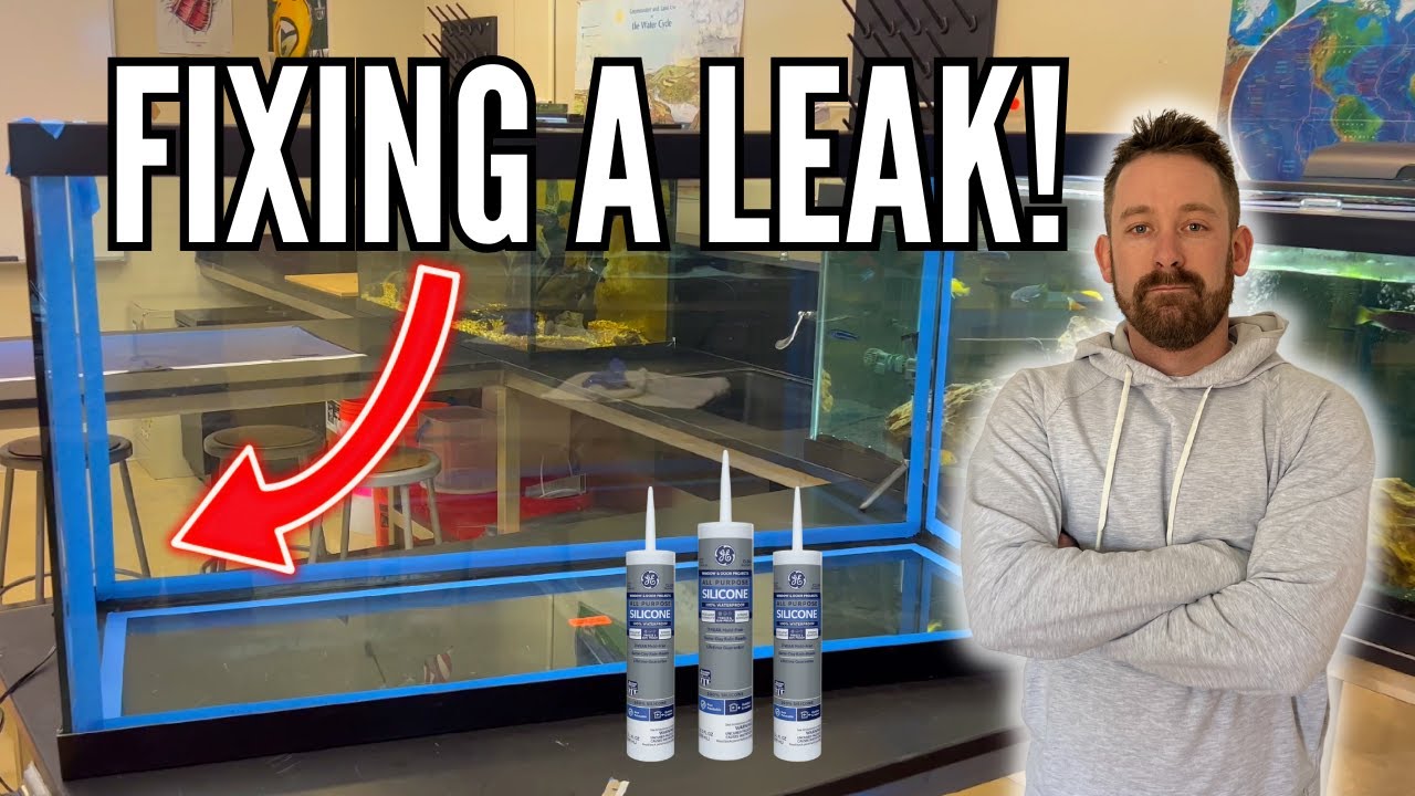 How I Resealed My Leaking Fish Tank (Like New 90 Gallon Aquarium!)